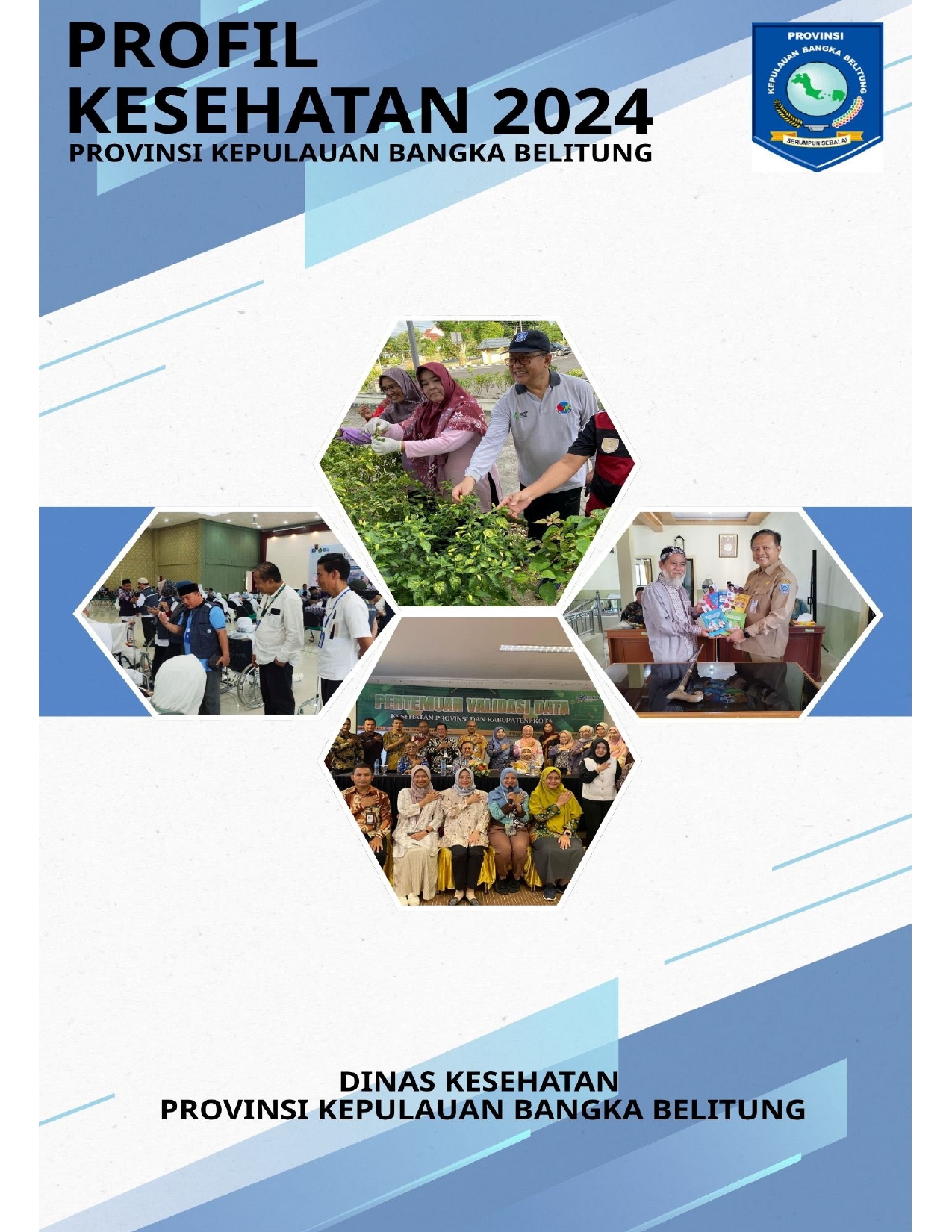 Profil Kesehatan Provinsi Kepulauan Bangka Belitung 2024